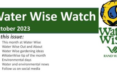 Water Wise Watch – November 2023