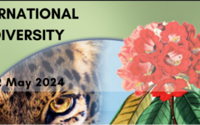 International Biodiversity Day