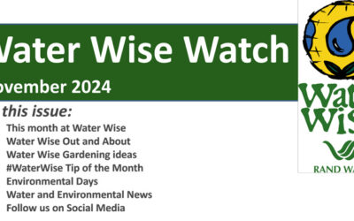 Water Wise Watch – November 2024